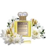 Roja Parfum, روجا بارفام Scandal Parfum  Pour Femme 50ml Parfum