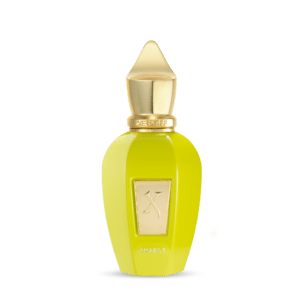 Vibe AMABILE eau de parfum 50ml flacon