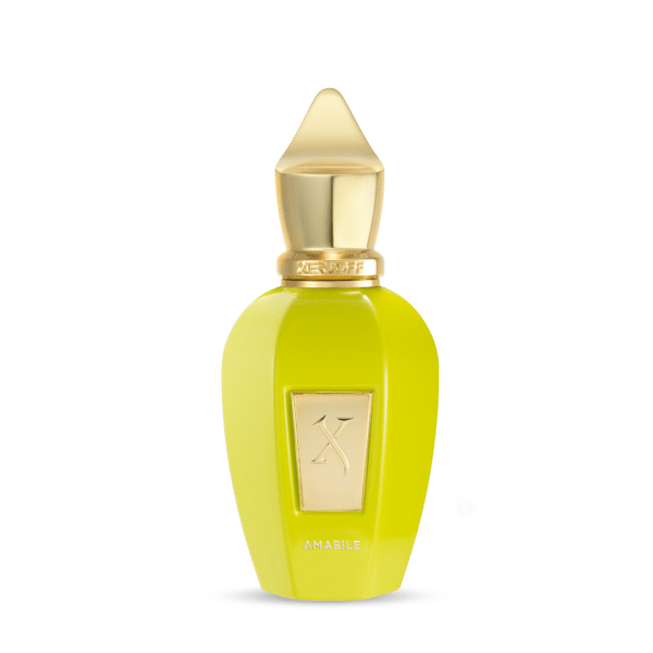 Vibe AMABILE eau de parfum 50ml flacon