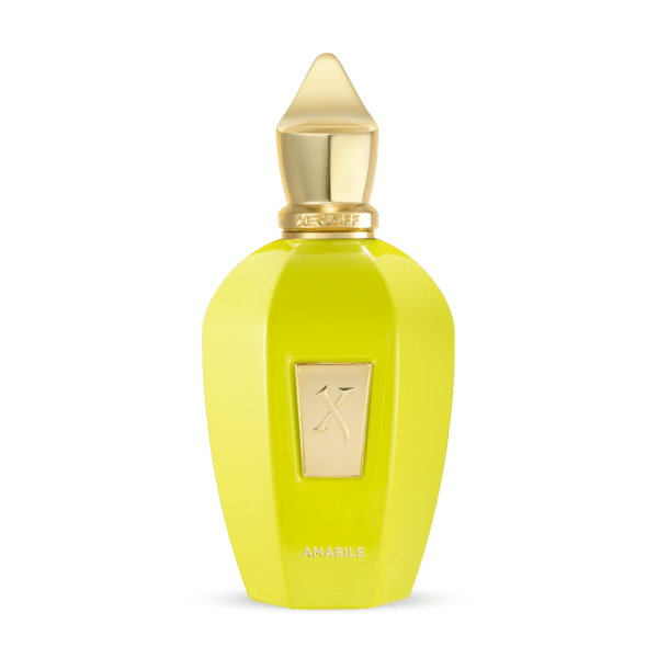 Xerjoff Amabile 100ml Parfum