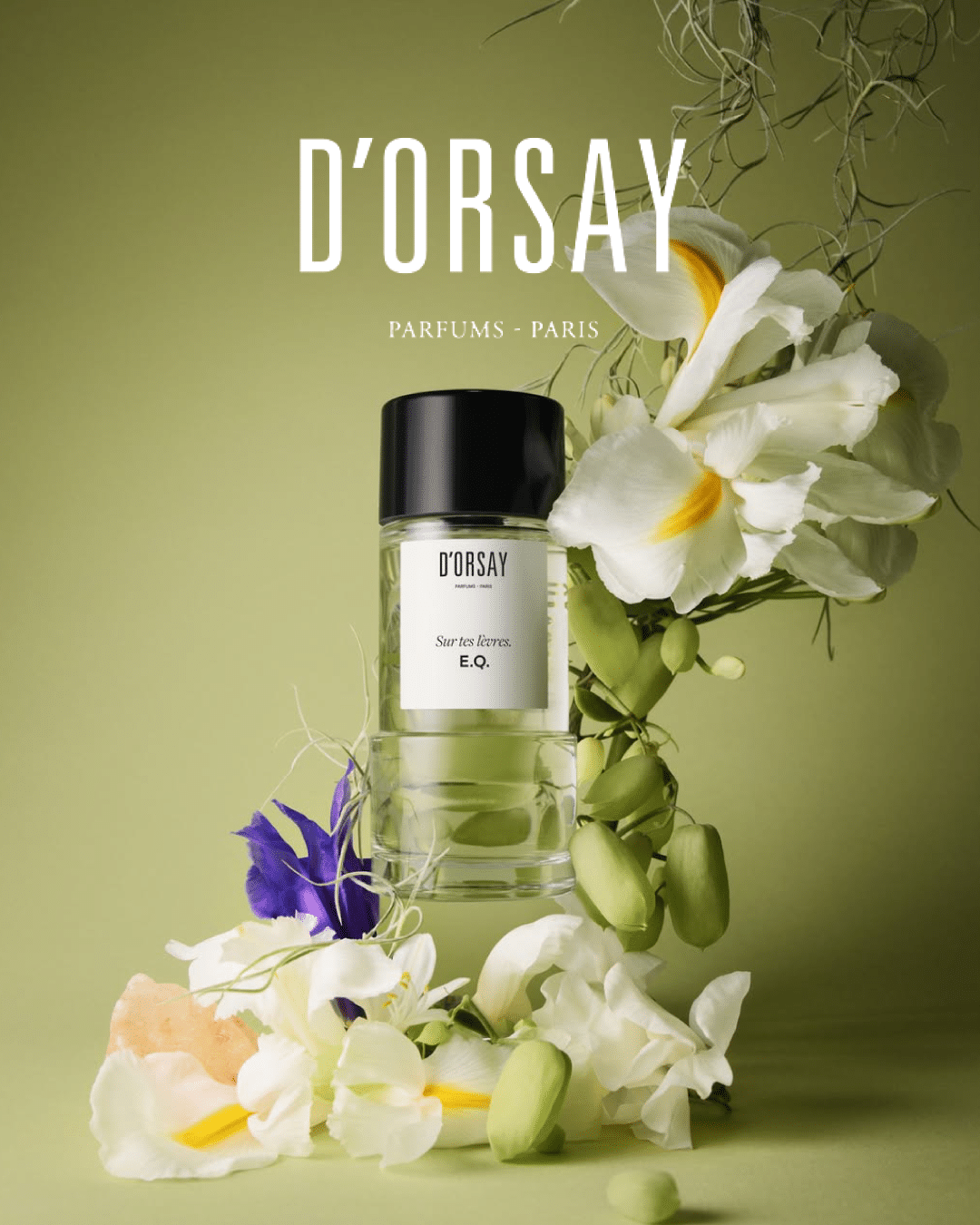 دورسيه باريس