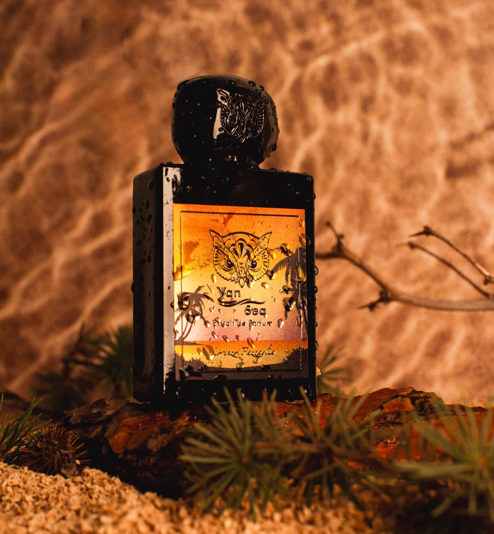 lorenzo pazzaglia banner