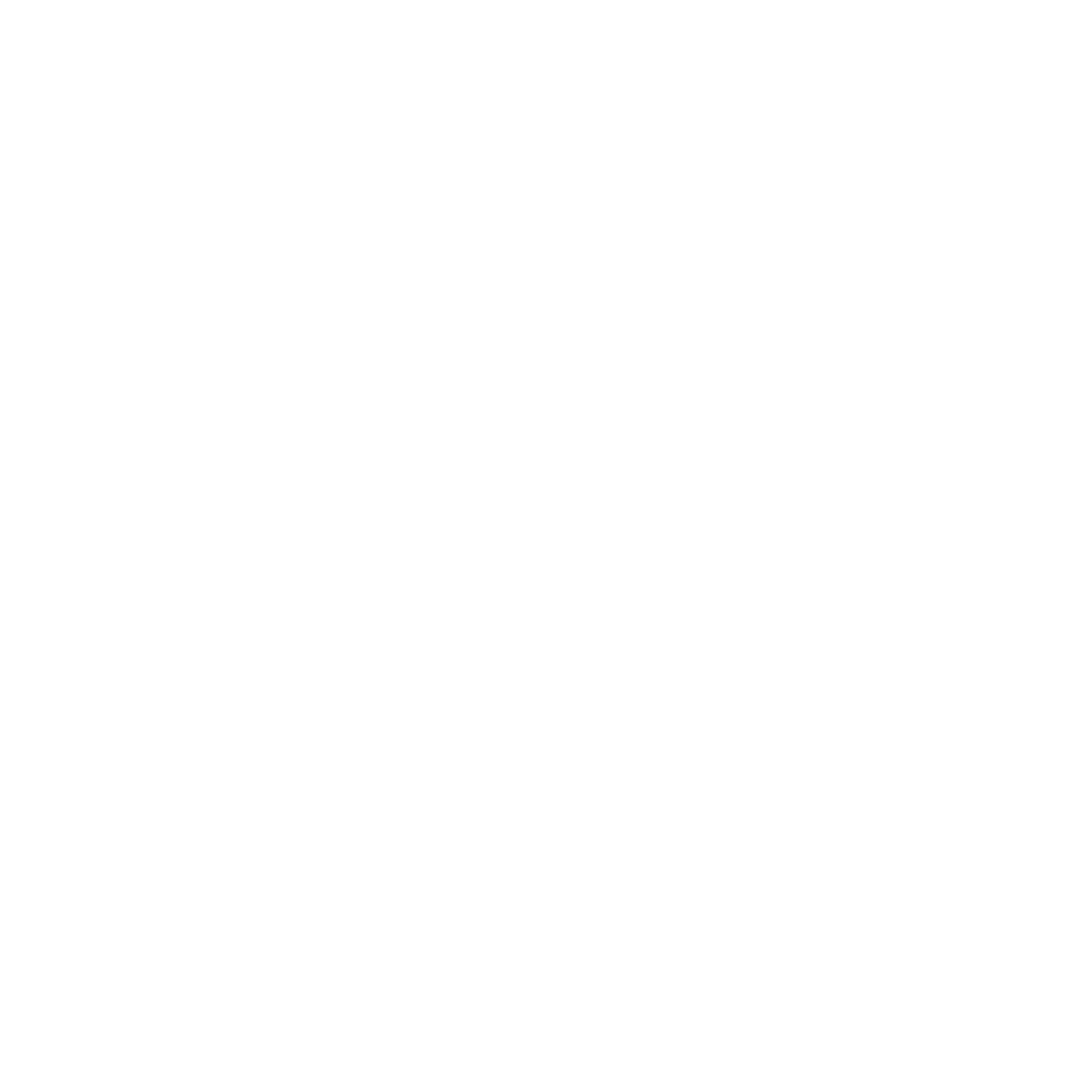 PLethora logo icon white